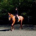 themessbehindthehandlens avatar