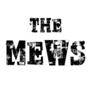themews-blog avatar