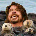 themidnightdiddler avatar