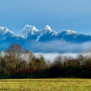 themindwantswhatthemindwants avatar