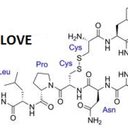 themoderngirl avatar