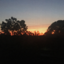 themonsterisawake avatar