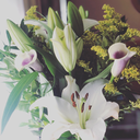 themoonandhannah avatar