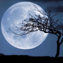 themoonislostinsweetdreams avatar