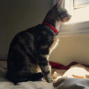 themoonisout-blog avatar