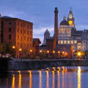 themoreitisreproduced avatar