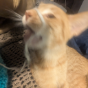 themostsarcasticone avatar