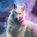 themotherwolf avatar