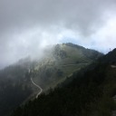 themountainsgreen avatar