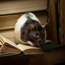 themousesposts avatar