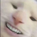 themozzarellastick avatar