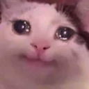 themuffinlord avatar