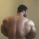 themuscleblog avatar