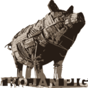 themuslimissue avatar