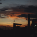 themutatedpanda avatar