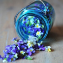 thename-ofthewind avatar