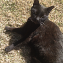 thenameisstar avatar