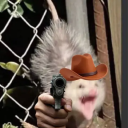 thenamesjester avatar