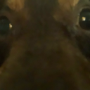 thenamethatcanbenamed avatar