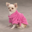 thenarcissistcontessa avatar