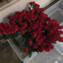 thenasmaa-blog avatar