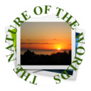 thenatureoftheworlds avatar