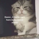 thence-forward avatar