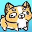 thenerdycorgi avatar