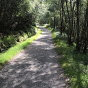 theneverendingroad avatar