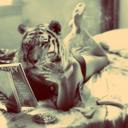 theneverland-blog avatar