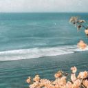 thenewkindkid avatar