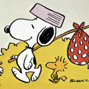 thenewlostboy avatar