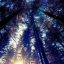 thenightcafeby avatar