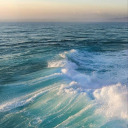 thenightmare1 avatar