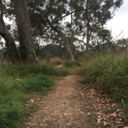 thenightwitch avatar