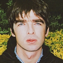 thenoelgallagher avatar