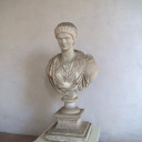 thenolifeturtle avatar