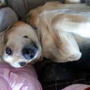 thenonsenseuniverse avatar