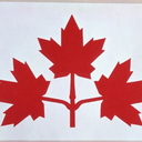 thenorthelevation avatar