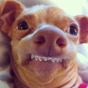 thenotoriousmom avatar