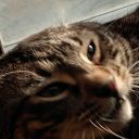 thenovastronomy avatar