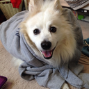 theoceanofpictures avatar