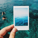 theoceansavedmylife avatar