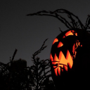 theoctobercountrysblog avatar