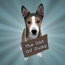 theoddgifdump-blog-blog avatar