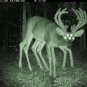 theofficialdilley avatar