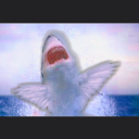 theofficialslugby avatar