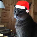 theofficialwalmart avatar