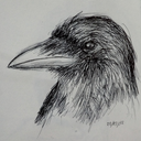 theoldestcrow avatar