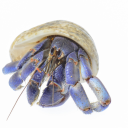 theoldtunaisgone avatar